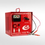 Cargador 12 Volt . 30 amp.